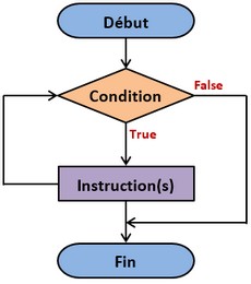 Organigramme