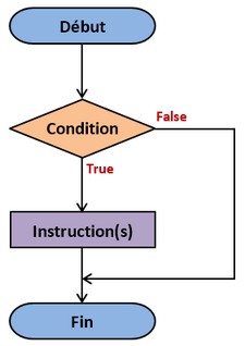 Organigramme