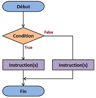 Organigramme